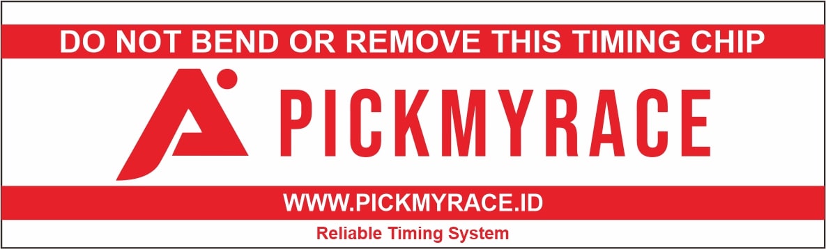 Timing Chip